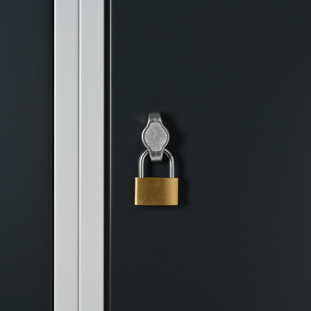 Immagine del prodotto n. 2: Armadietto Steinbock®, a pavimento, a 2 livelli, 4 scomparti, chiusura a chiavistello, AxLxP 1.800 x 600 x 500 mm, grigio chiaro/grigio antracite