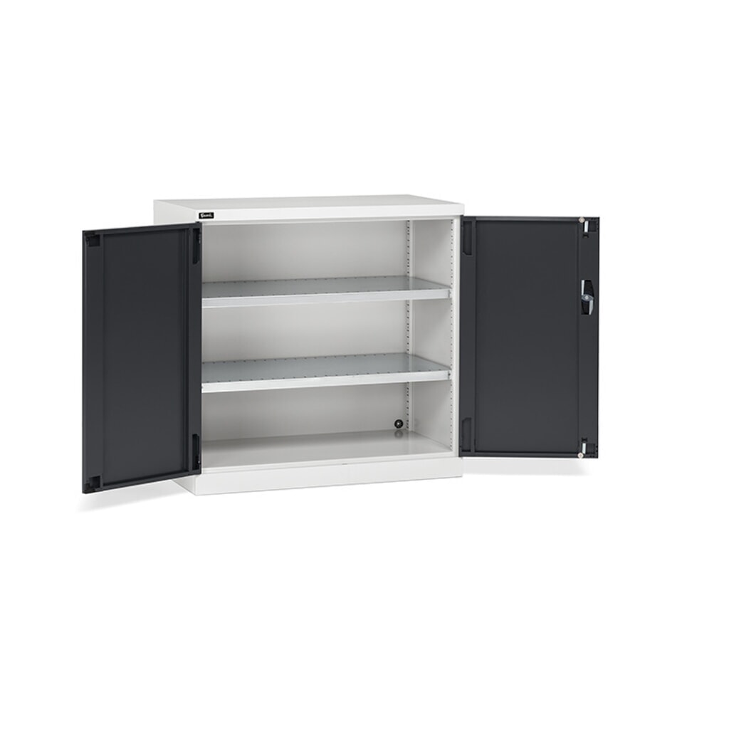 Immagine del prodotto: Armadio con ante a battente Fami PERFOM, 2 ripiani, AxLxP 1.000 x 1.023 x 555 mm, grigio chiaro, antracite