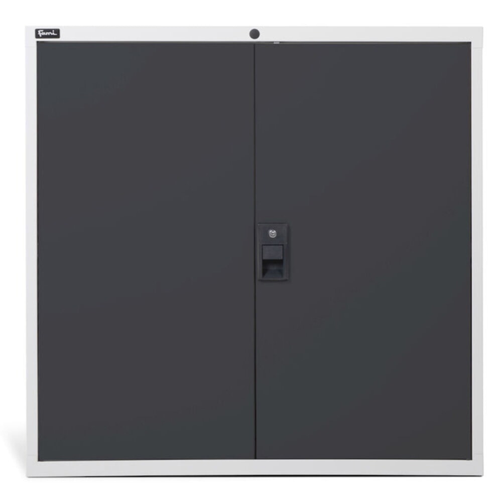 Immagine del prodotto n. 3: Armadio Fami MASTER con ante a battente, AxLxP 1.000 x 1.020 x 726 mm, grigio chiaro, antracite