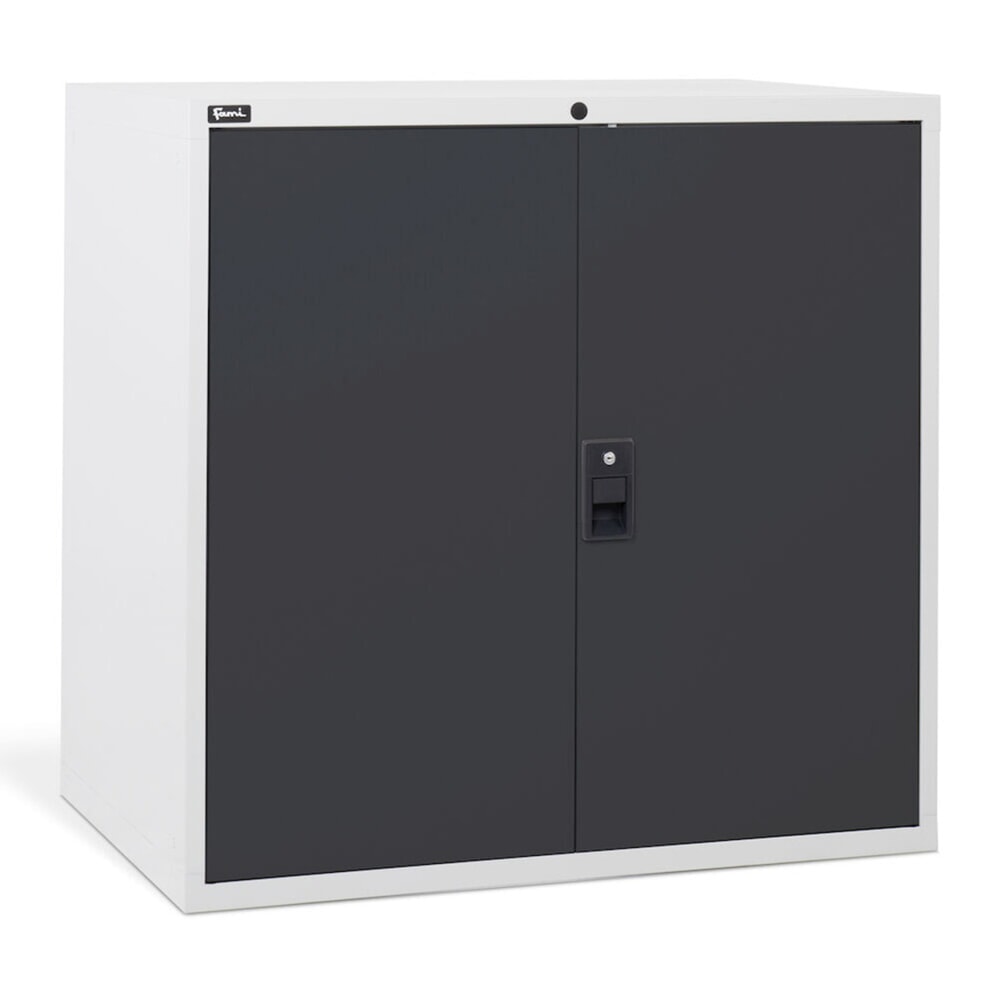 Immagine del prodotto n. 4: Armadio Fami MASTER con ante a battente, AxLxP 1.000 x 1.020 x 726 mm, grigio chiaro, antracite
