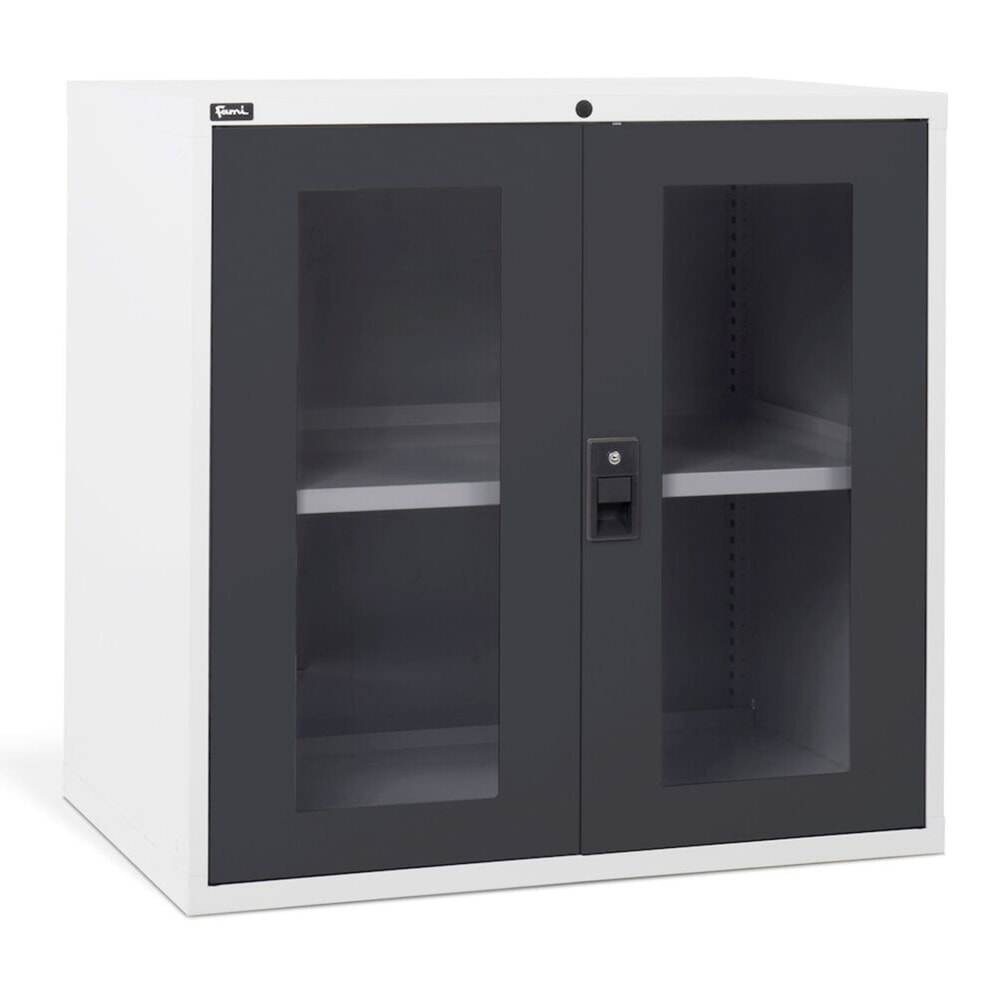 Immagine del prodotto n. 4: Armadio Fami MASTER con ante a battente in policarbonato, AxLxP 1.000 x 1.020 x 726 mm, grigio chiaro, antracite