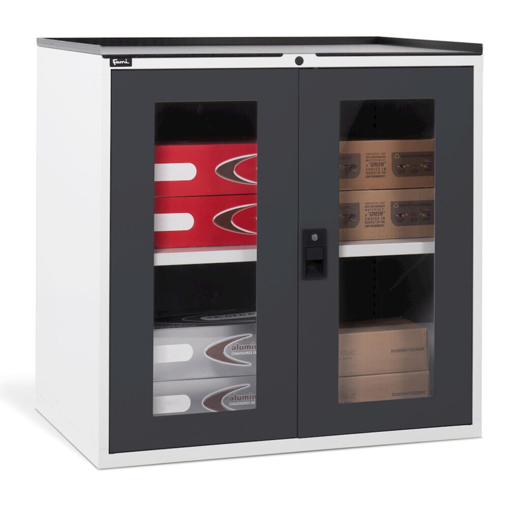Immagine del prodotto n. 6: Armadio Fami MASTER con ante a battente in policarbonato, AxLxP 1.000 x 1.020 x 726 mm, grigio chiaro, antracite