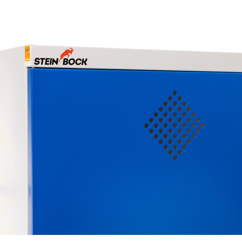 Immagine del prodotto n. 4: Armadio per sostanze chimiche Steinbock®, 4 vasche di raccolta a pavimento secondo StawaR, HxBxT 1.950 x 950 x 500 mm