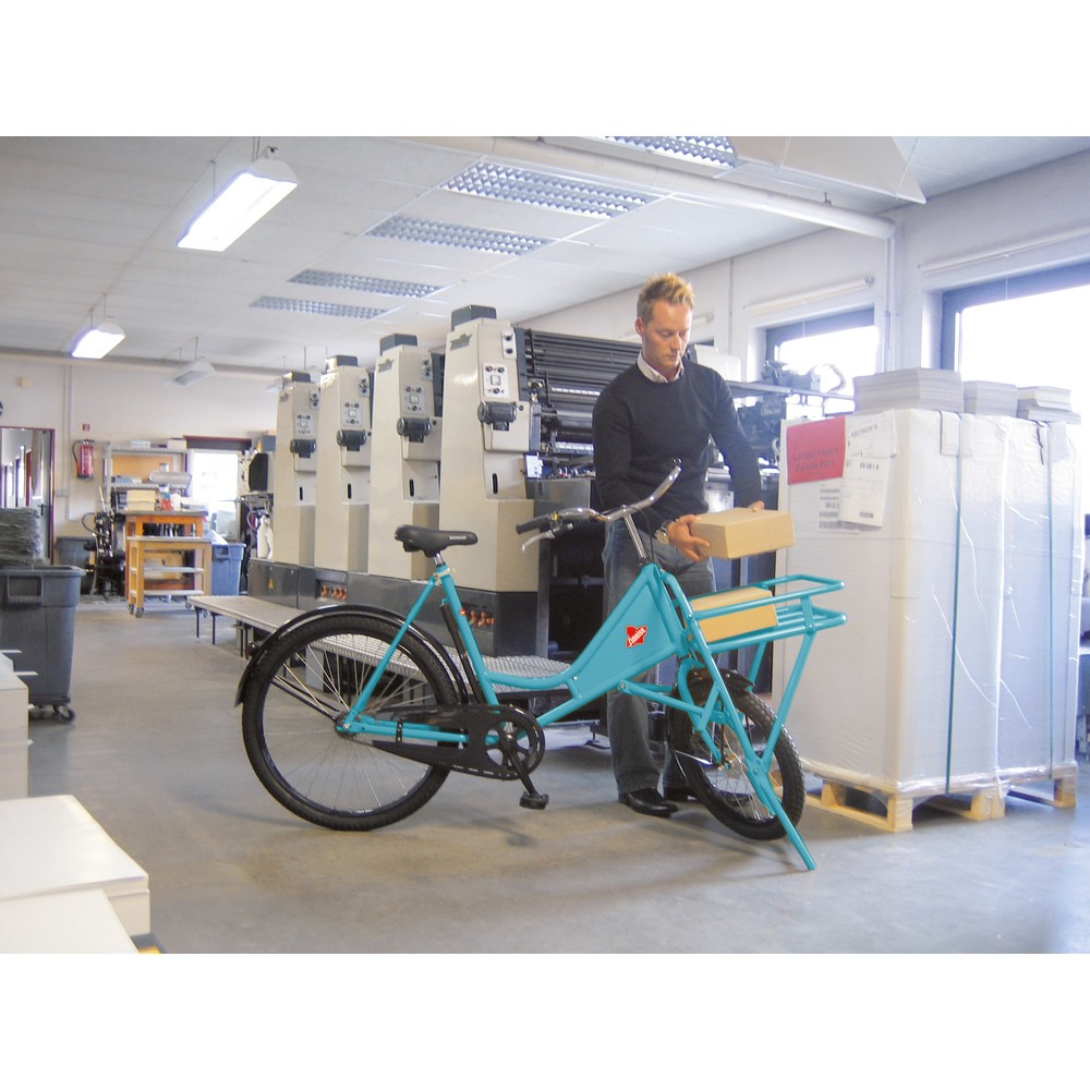 Immagine del prodotto n. 2: Bici da trasporto Ameise®, blu oltremare