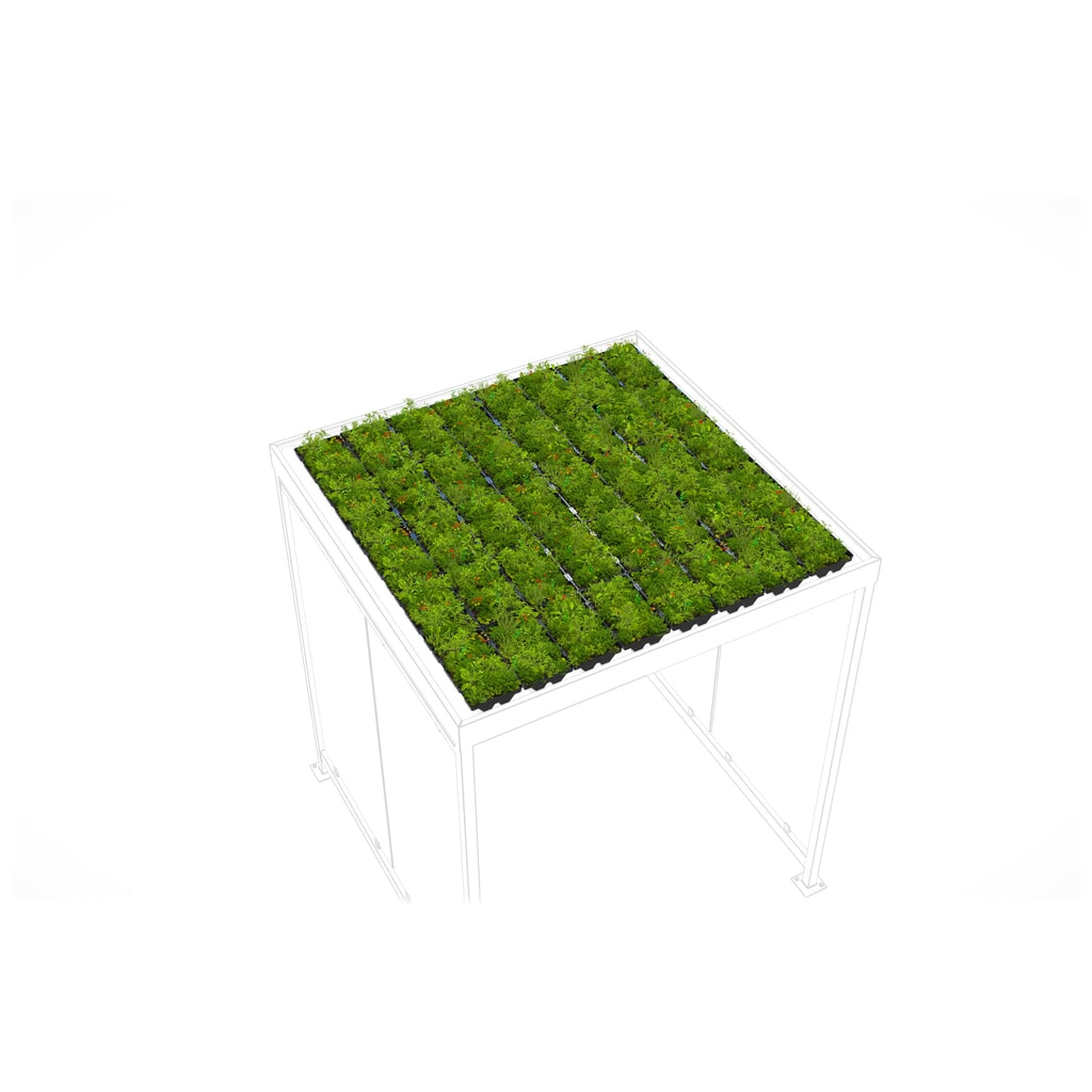 Immagine del prodotto: Tettuccio verde GREENPLUS premium per pensile per fumatori wsm®, montaggio in officina, versione premium, circa 4 m²