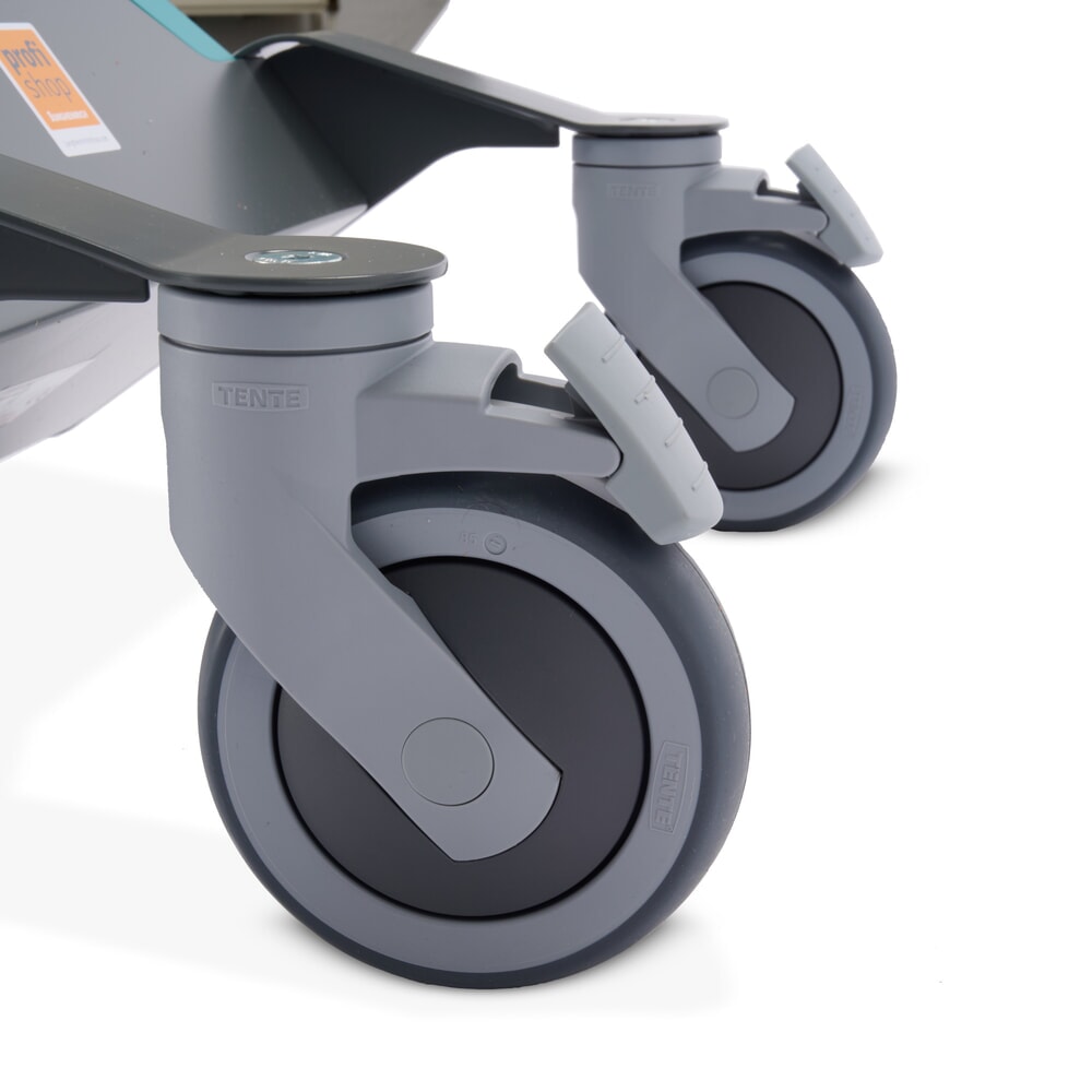 Immagine del prodotto n. 5: Elevatore elettrico Ameise®