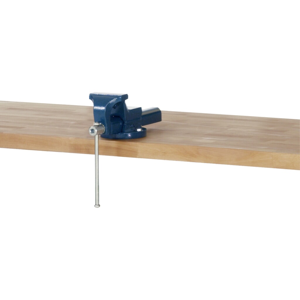 Morsa RAU, larghezza ganasce 120 mm Immagine del prodotto: Morsa RAU, larghezza ganasce 120 mm