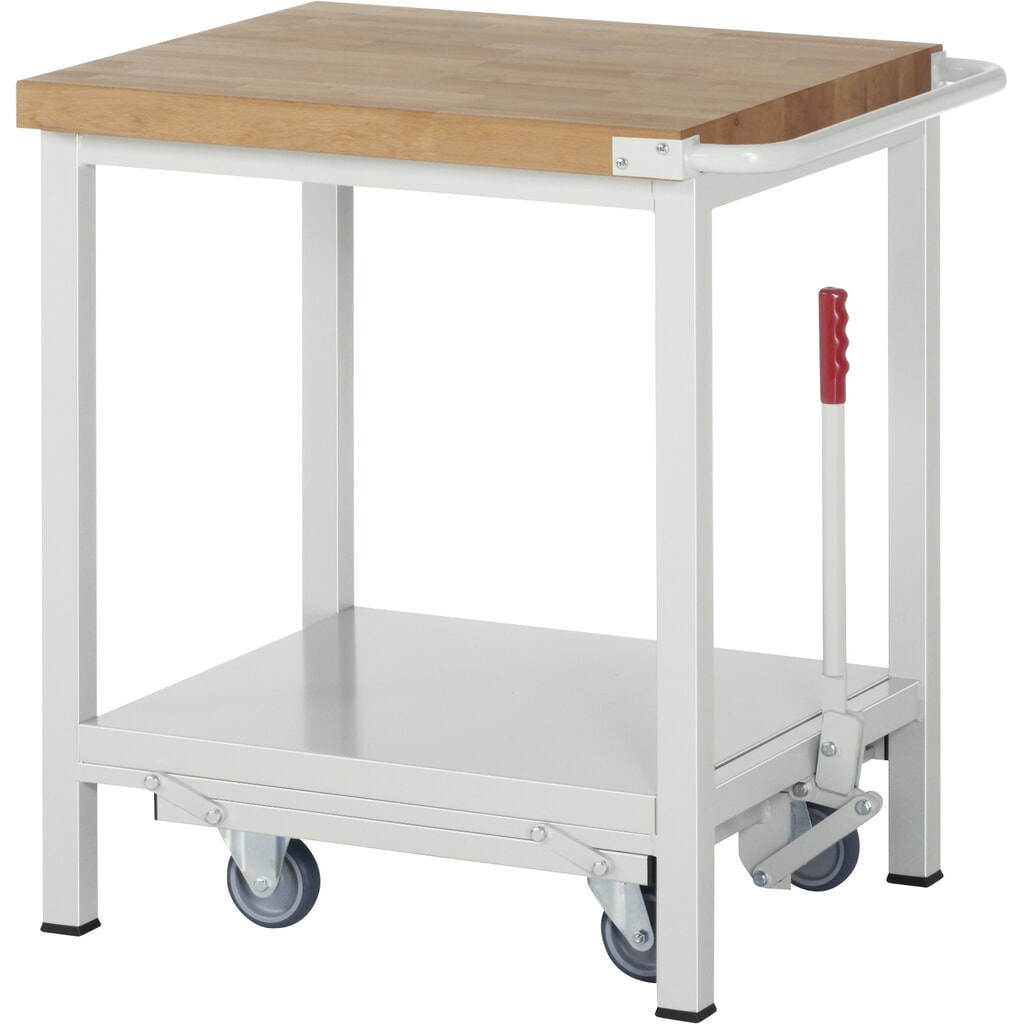 RAU Banco da lavoro con carrello Serie 8000, HxLxP 880 x 750 x 700 mm, con piano di appoggio Immagine del prodotto n. 1: RAU Banco da lavoro con carrello Serie 8000, HxLxP 880 x 750 x 700 mm, con piano di appoggio