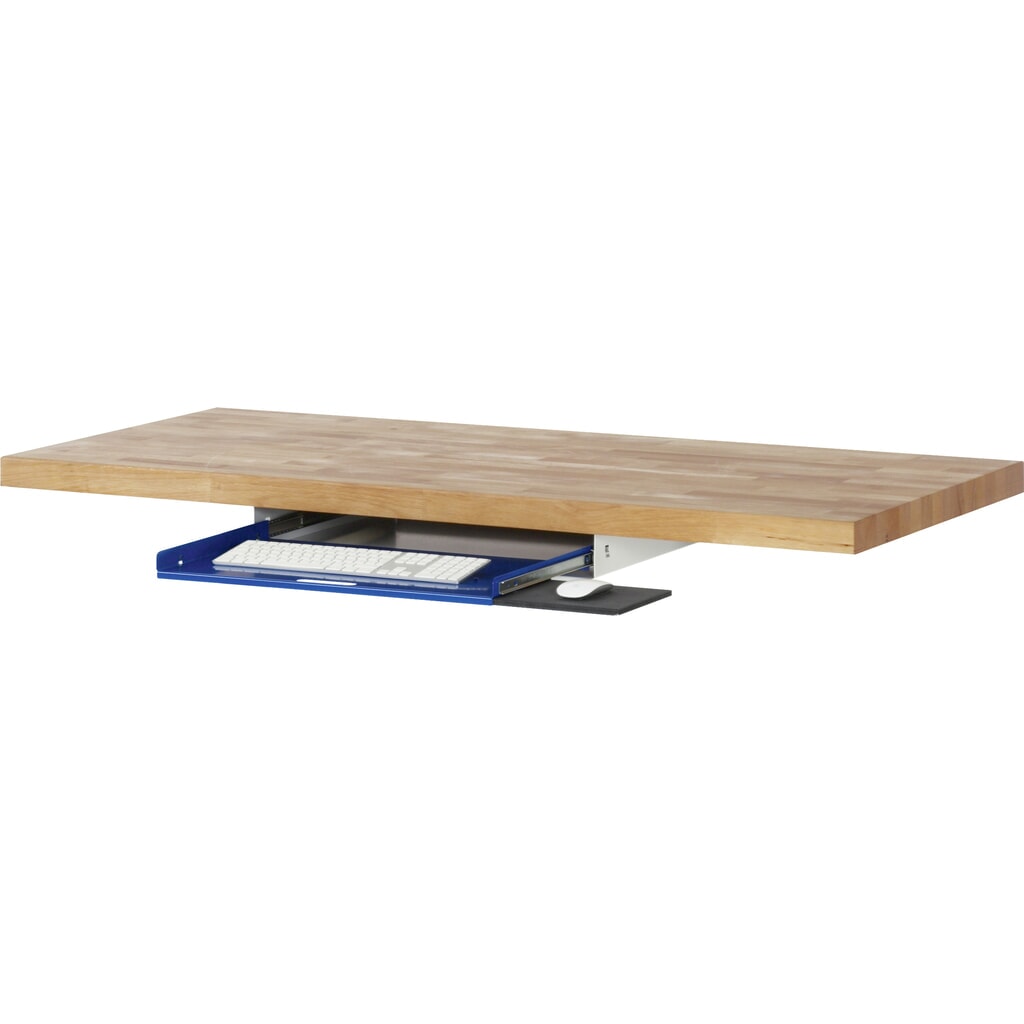 RAU Ripiano estraibile per tastiera per banco da lavoro serie 7000/8000, HxLxP 85 x 640 x 485 mm Immagine del prodotto: RAU Ripiano estraibile per tastiera per banco da lavoro serie 7000/8000, HxLxP 85 x 640 x 485 mm