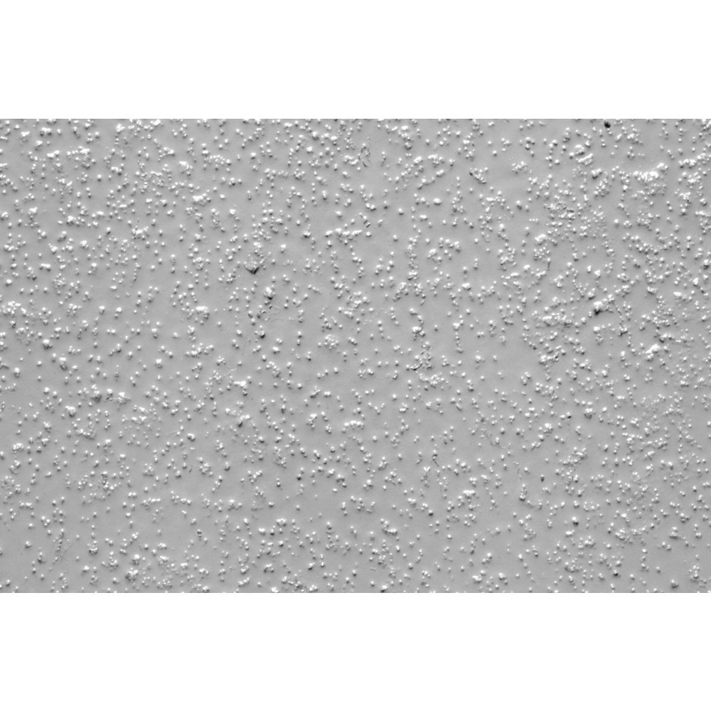 Immagine del prodotto: Rivestimento per pavimento antiscivolo extra forte, grana fine, grigio chiaro
