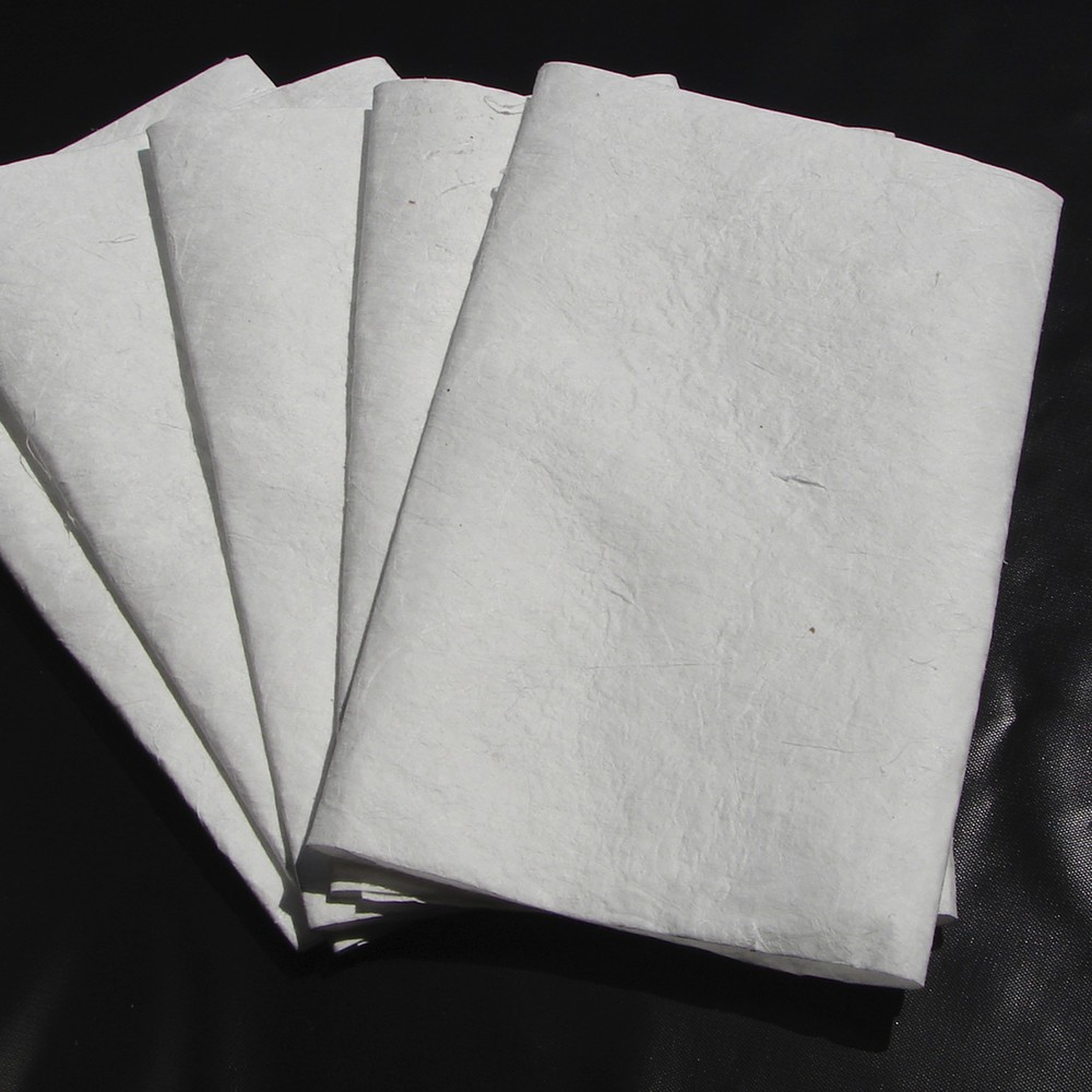 Immagine del prodotto n. 2: Set di ricarica per tampone di sgocciolamento/assorbimento Justrite LxL 910 x 610 mm, 5 tamponi assorbenti