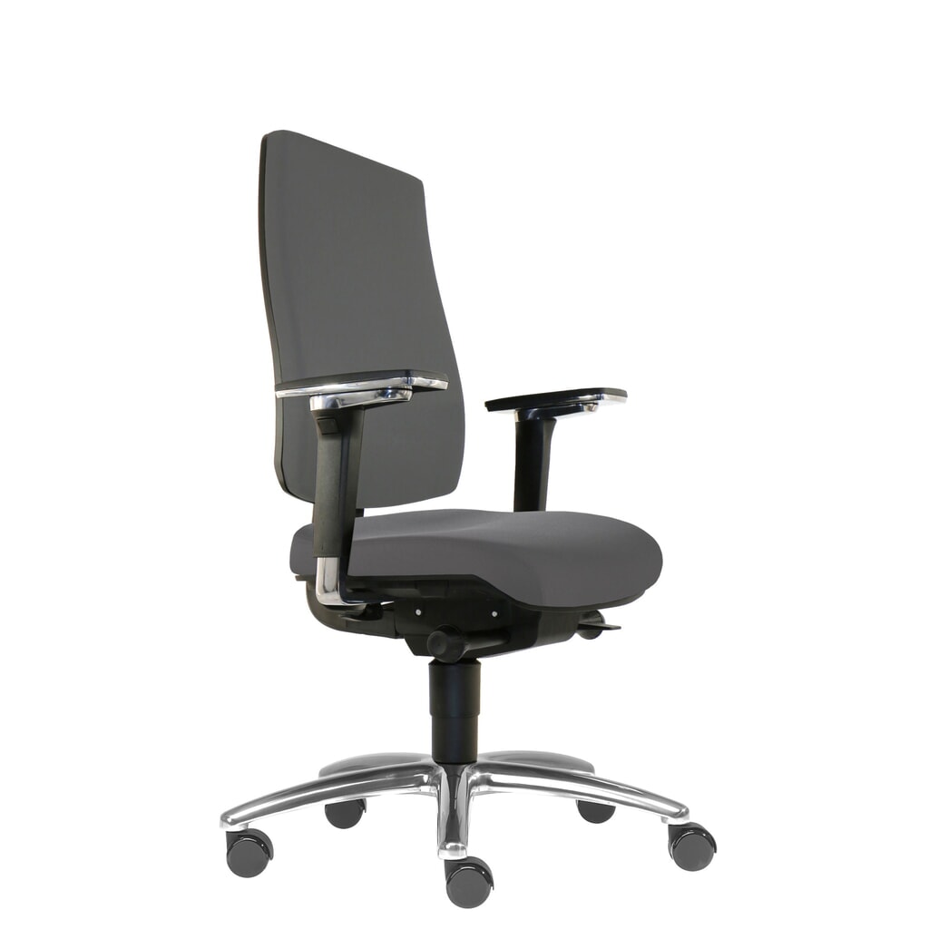 Sedia da ufficio ergonomica per dischi intervertebrali SITWELL STEIFENSAND Cebra, schienale interamente in materiale plastico, ruote universali, poliestere, grigio scuro Immagine del prodotto: Sedia da ufficio ergonomica per dischi intervertebrali SITWELL STEIFENSAND Cebra, schienale interamente in materiale plastico, ruote universali, poliestere, grigio scuro