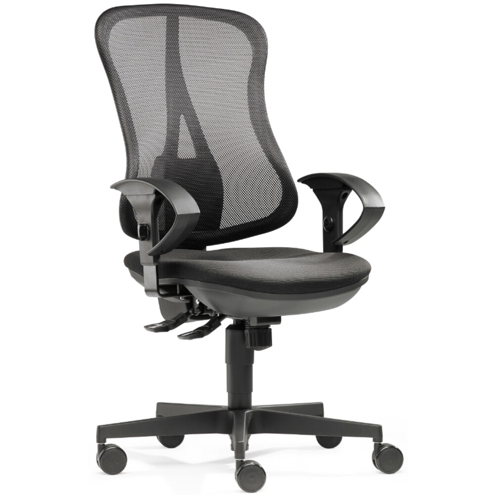 Immagine del prodotto n. 2: Sedia da ufficio ergonomica per dischi intervertebrali SITWELL STEIFENSAND Flash Net, meccanismo sincronizzato, schienale in rete, portata 110 kg