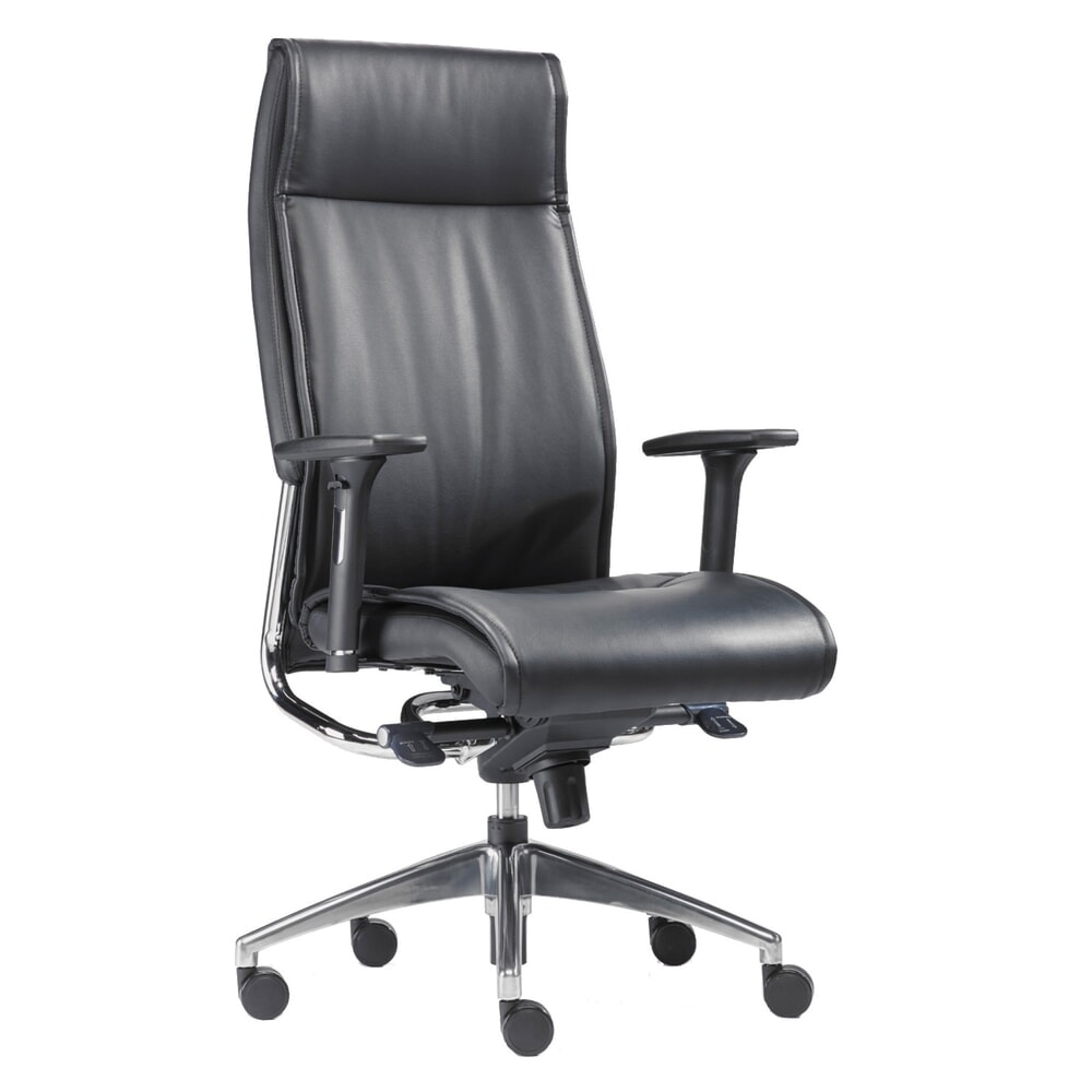 Immagine del prodotto n. 1: Sedia da ufficio SITWELL STEIFENSAND design Big Boss, seduta in pelle rigenerata con elementi cromati