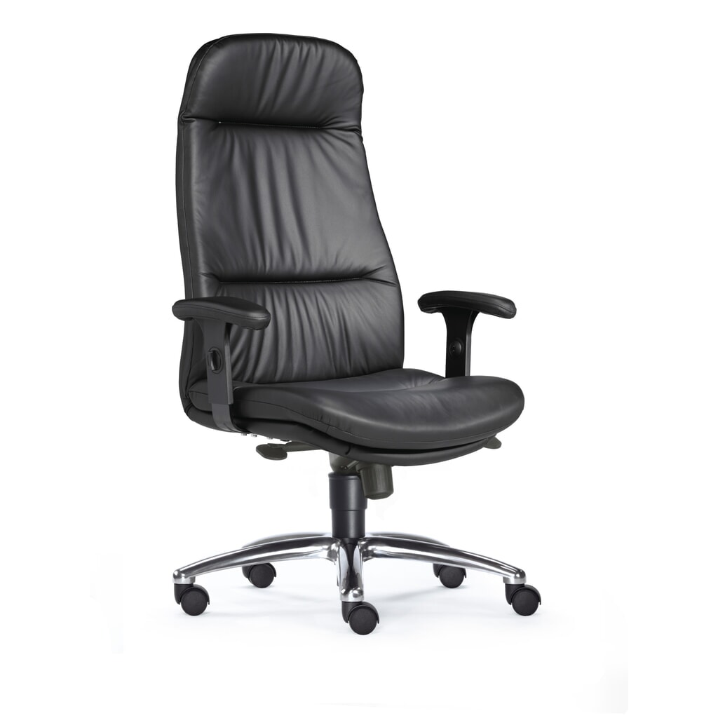 Sedia da ufficio SITWELL STEIFENSAND per impieghi gravosi, schienale extra alto, base a croce in alluminio lucido, seduta in pelle Immagine del prodotto n. 2: Sedia da ufficio SITWELL STEIFENSAND per impieghi gravosi, schienale extra alto, base a croce in alluminio lucido, seduta in pelle